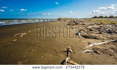 A Close Up View Of Plants On A Beach, Caspian Sea Under Blue Sky In Early September, Snag On On The 