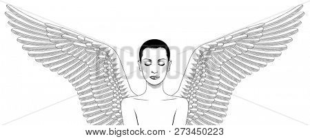 Angel girl with wings. Angels wings. Ornamental style element. Vintage design elements. 