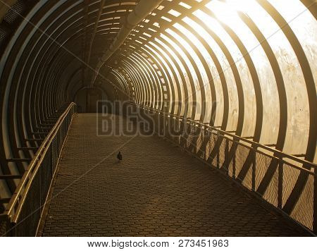 Elevated Pedestrian Crossing In Moscow In Summer, Russia