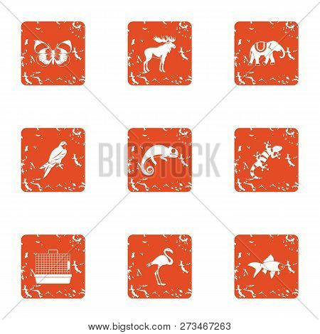 Animal Humanity Icons Set. Grunge Set Of 9 Animal Humanity Icons For Web Isolated On White Backgroun
