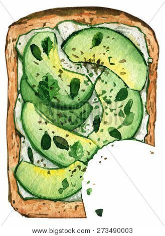 Sandwich Bitten Avocado Cheese Bread Healthy Food Watercolor