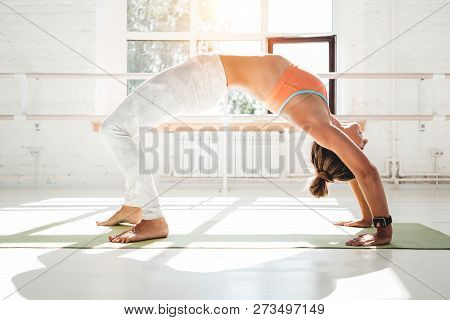 Strong Healthy Woman Doing Exerciese Bridge On Fitness Mat In Whit Gym. Yoga Girl Doing Stretching E