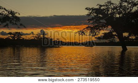 Sunset In The Cuyabeno Lagoon, Within The Cuyabeno Faunistic Production Reserve. It Is One Of The Mo