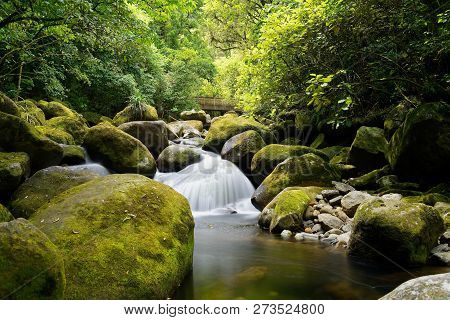Small Cascading Waterfall On The Wairere Falls Trail