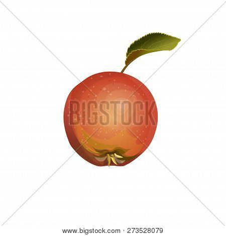Red Apple Fruit With Leaf. Vector Illustration Isolated On White Background