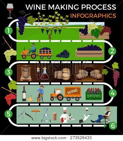 Wine Making Process. Vector Illustration Isolated On White Background