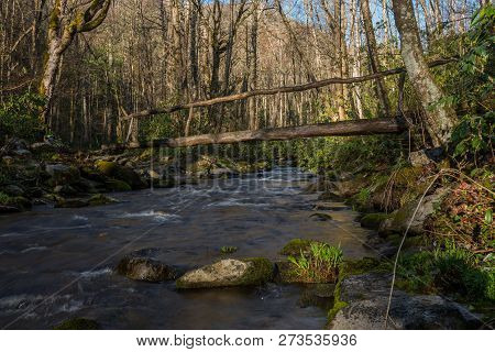 Log Bridge In Early Spring Across A Creak In The Great Smoky Mountains National Park