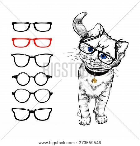 Cat With Glasses. Painted Stylized Image Of A Cat On A White Background, Who Wears Glasses. Choosing