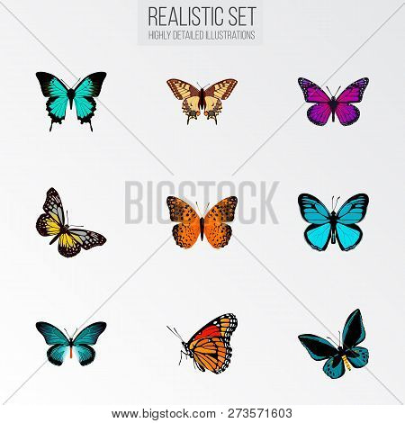 Set Of Beauty Realistic Symbols With Hairstreak, Checkerspot, Painted Lady And Other Icons For Your 