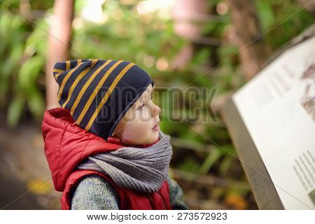 Little Boy Reads An Explanatory Sign In The Zoo Or Park Of Nature. Kids Exploring Nature.