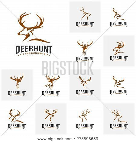 Set Of Deer Hunt Logo Template, Elegant Deer Head Logo Designs Vector
