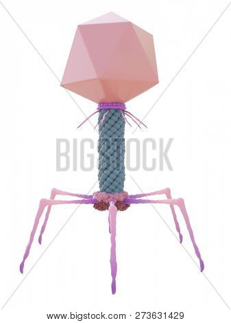 3d rendered medically accurate illustration of a bacteriophage