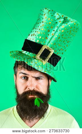 St. Patrick's Man. St. Patrick Concept. Saint Patrick Celebration. Handsome Bearded Man Celebrate St