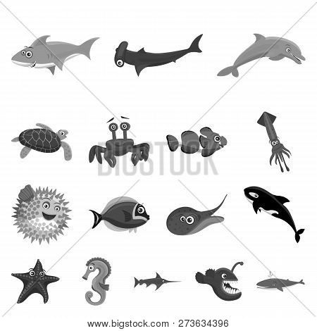 Vector Illustration Of Sea And Animal Symbol. Collection Of Sea And Marine Vector Icon For Stock.