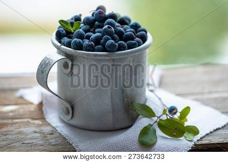 Fresh Blueberries In An Iron Mug Near The Window