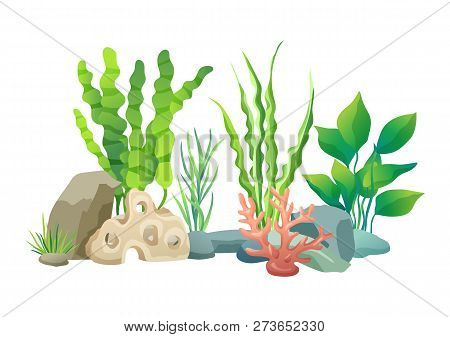 Green Vegetation Of Deep Sea. Decorations To Put In Aquariums. Stones With Holes And Plants Differen