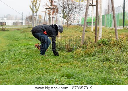 A Female Dog Holder Cleans The Meadow From Her Dogs Shit