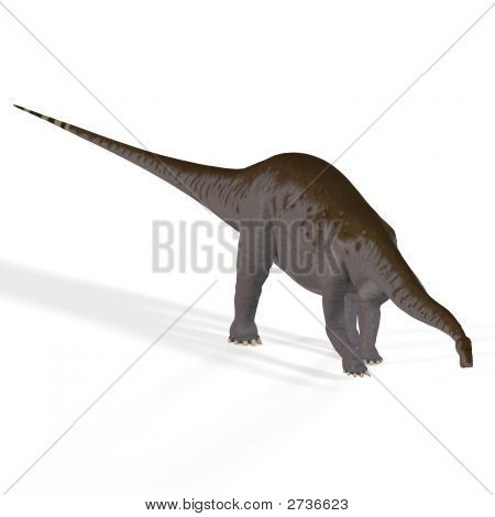 Apatosaurus Aka Brontosaurus