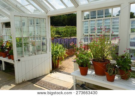 Saffron Walden, Essex, England - July 14, 2018: Historic Restored Greenhouse Interior With Flowers A