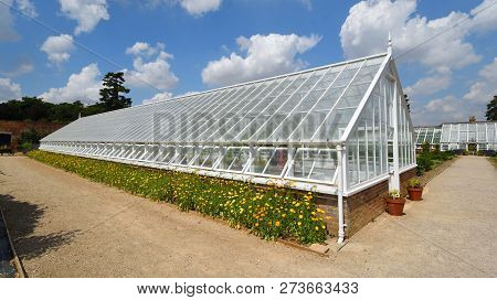 Saffron Walden, Essex, England - July 14, 2018: Historic Restored Greenhouse With Flowers .