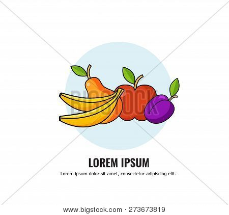 Vector Of Healthy Food Design With Fruits: Banana, Apple, Pear, Prunes. Vector Illustrationt For Men