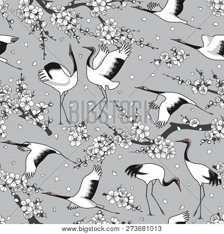 Seamless Pattern With Monochrome Japanese Cranes, White Flowering Tree Branches. Endless Texture Dec