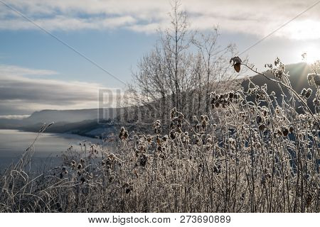 Frosted Winter Landscape In Cold Temperature With Ice And Hoar Frost On Lake, Rime On Crisp, Frozen 
