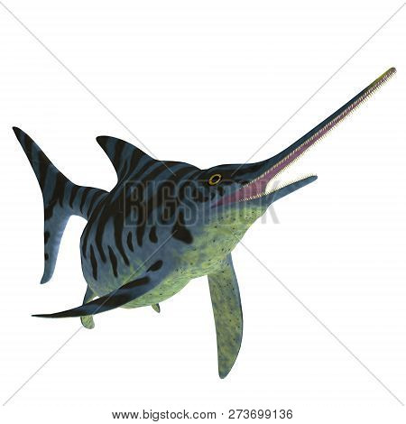 Eurhinosaurus Ichthyosaur Reptile On White 3d Illustration - Eurhinosaurus Was A Carnivorous Ichthyo