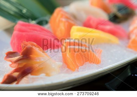 Mixed Sliced Fish Sashimi On Ice In White Bowl. Sashimi Salmon Tuna Hamachi Prawn And Surf Calm Set,