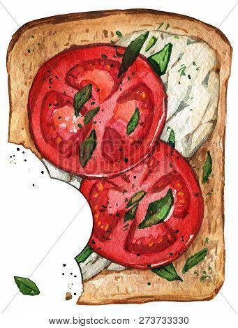 Healthy Food Bitten Sandwich Tomato Cheese Bread Watercolor