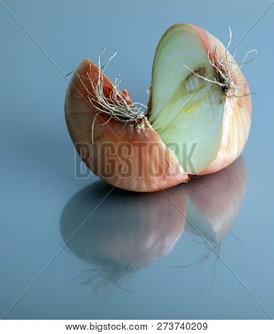 Fresh Bulbs Of Onion Color Image Stock Photos