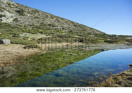 Glacial Lagoon Next To The Pico Del Nevero (snowfield Peak; 2.209 Metres), In Guadarrama Mountains N