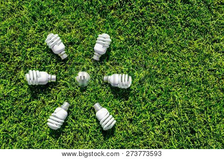 Energy Efficient Light Bulbs On Green Grass. Energy Saving Concept