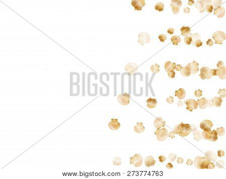 Gold Seashells Vector, Golden Pearl Bivalved Mollusks. Cute Scallop, Bivalve Pearl Shell, Marine Mol