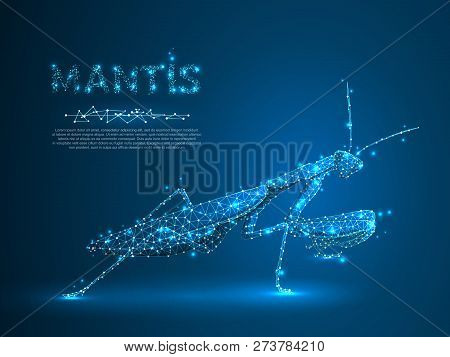 Hunting Mantis Bug Isolated Silhouette. Polygonal Space Low Poly Illustration. Connection Wireframe 