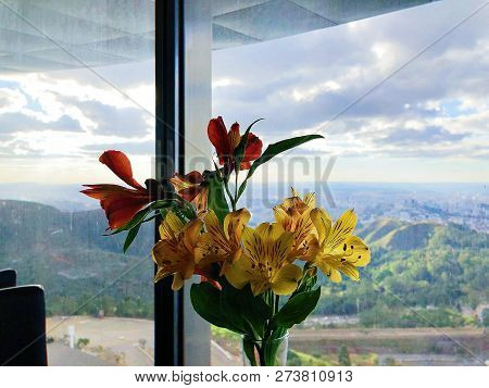 Flower Ornament With Mountains Landscape In The Background