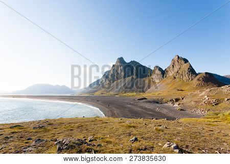 Hvalnes Lava Beach Landscape, East Iceland Landmark