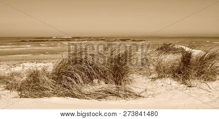 Close Up Of Sand Dunes With Dune Grass