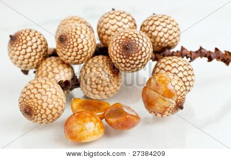 Rattan fruit