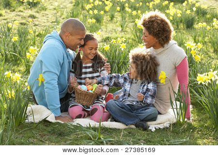 Familie entspannend auf dem Gebiet der Frühling Narzissen