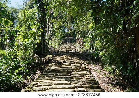 Cobblestone Pathway Through The Jungle. Path Surrounded By Lush Plant Life. Grand Staircase To Ciuda