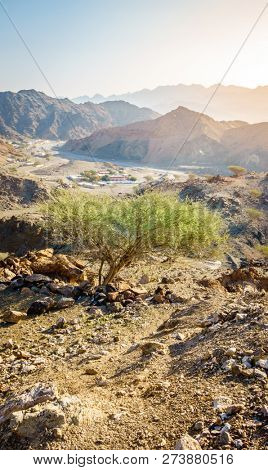 Scenic overlook of Al Hajar mountains in the emirate of Fujeirah, UAE and a village in a valley