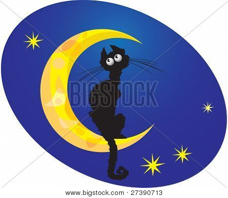 gato na lua