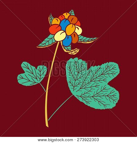 Vector Illustration Of Hand Drawn Cloudberry. Design For T-shirt, Card. Tribal African Style.