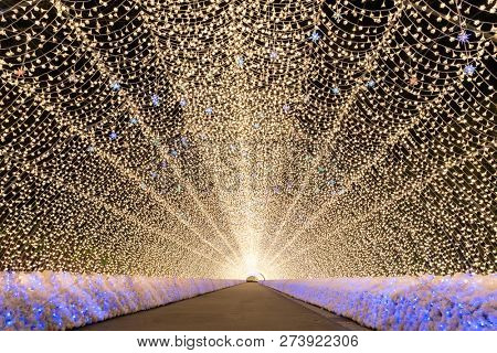 Nagoya, Japan. Nabana no Sato garden at night in winter