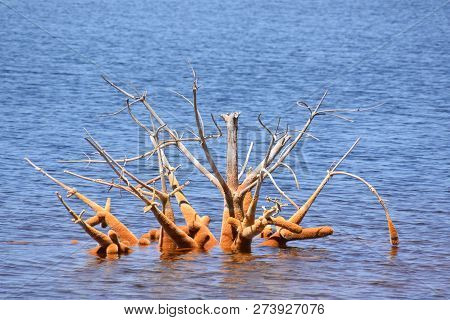 Copper Red Polluted Lake Mine In Gossan Cobre Huelva Spain