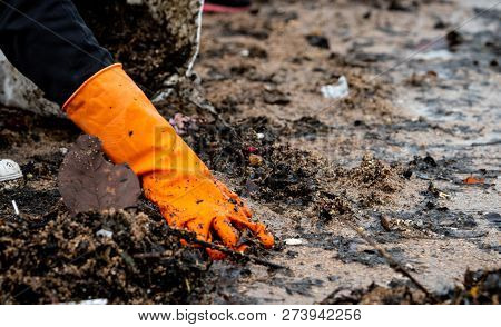 Volunteers Collecting Garbage. Beach Environment Pollution. Volunteers Cleaning The Beach On Blurred
