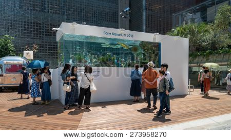 Tokyo, Japan - August 2018: Sony Aquarium Infront Of Ginza Sony Park With Tropical Fish And People W