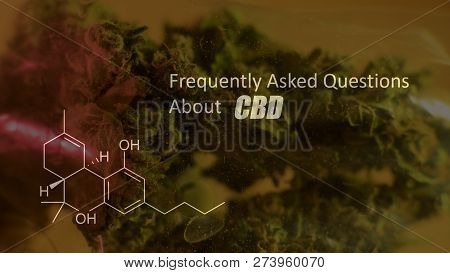 Chemical Elements In Marijuana Buds Cbd Thca Cbn
