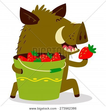 Cute Boars Or Warthog Character With Bucket Of Strawberries. Vector Illustration With Wild Pig. Fore